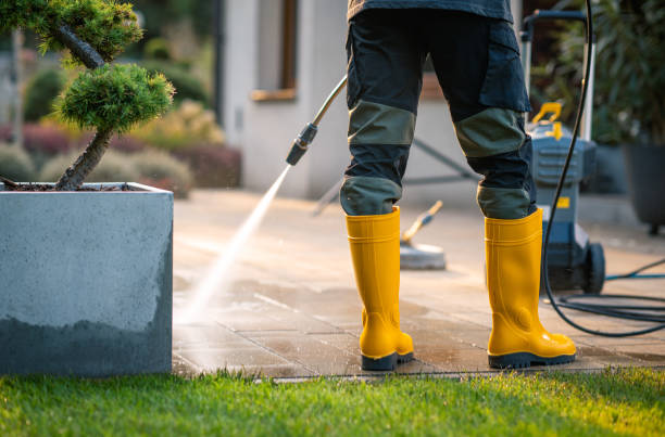 Best Roof Pressure Washing  in Wanamassa, NJ